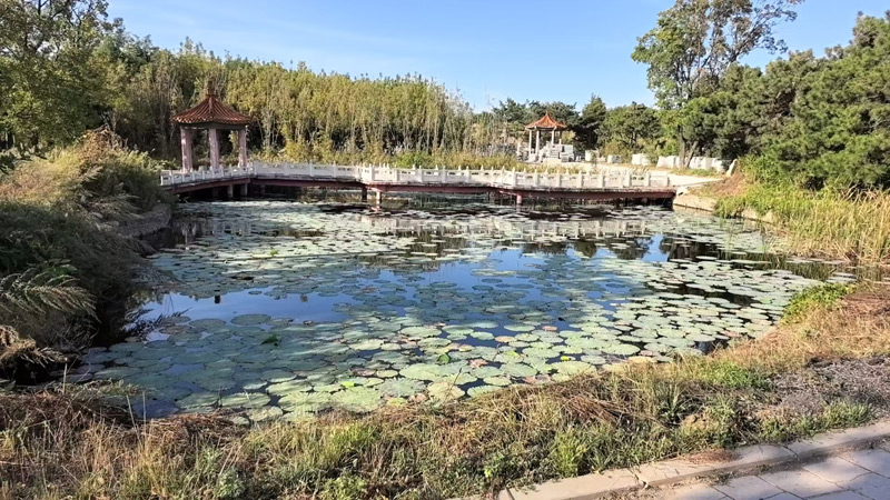水系